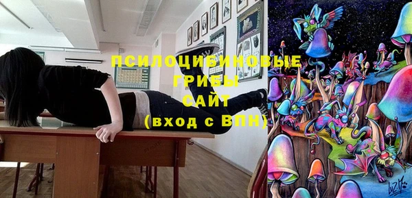 прущие крисы Балахна