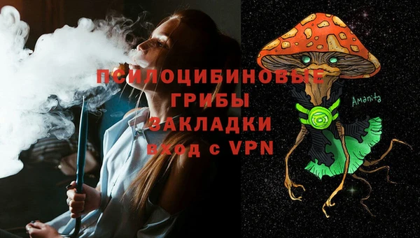прущие крисы Балахна