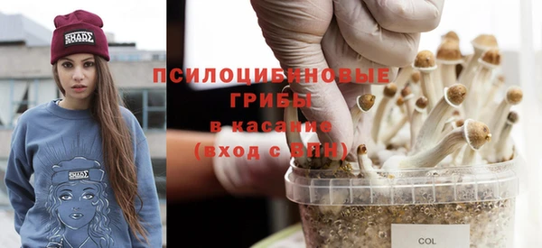 прущие крисы Балахна