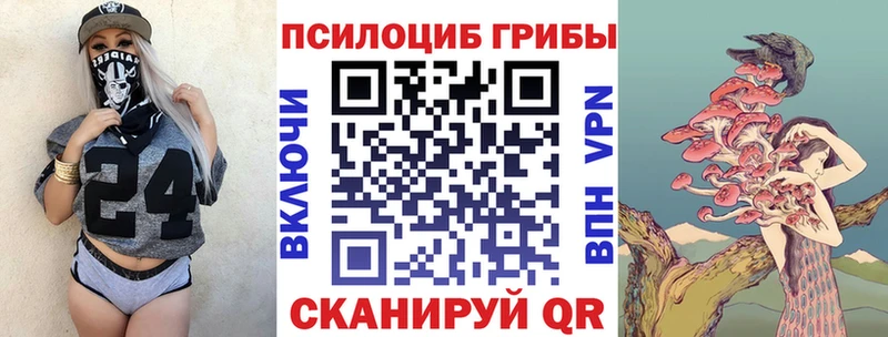 где можно купить   Лебедянь  Псилоцибиновые грибы ЛСД 